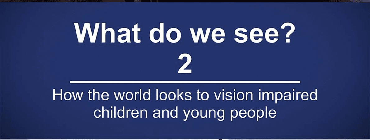 Image shows blue background in white text it reads 'What do we see 2? How the wold looks to vision impaired children and young people
