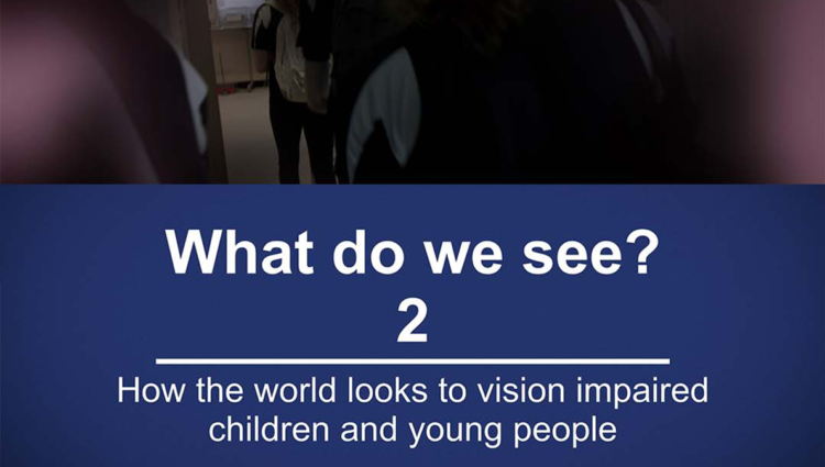 Image shows blue background in white text it reads 'What do we see 2? How the wold looks to vision impaired children and young people