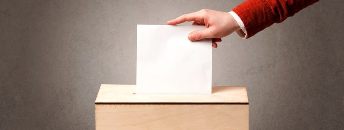 Photo of person posting vote paper.